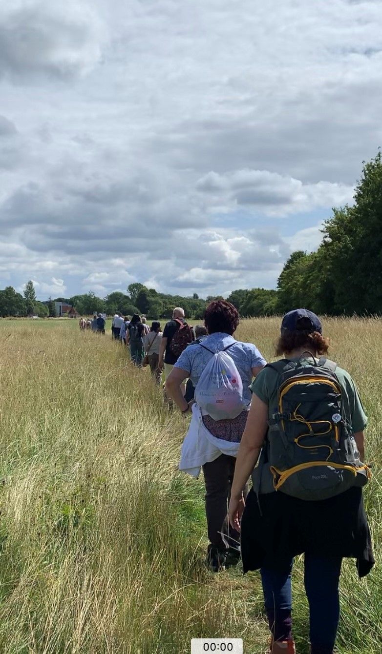 summer walk 